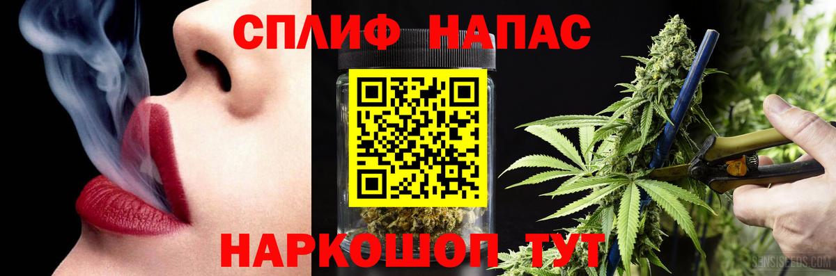 Шишки марихуана семена  Шишки марихуана планчик  Вход с VPN  Ростов-на-Дону  Марихуана OG Kush 